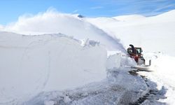 'Kar kaplanları', Ağrı-Kağızman kara yolunda metrelerce yükseklikteki karla mücadele ediyor