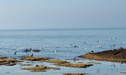 Kazakistan, su seviyesi düşen Hazar Denizi için 2 milyon dolardan fazla kaynak ayırdı