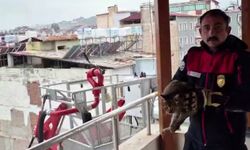 Kedi kurtarma operasyonuyla gönülleri fetheden itfaiye ekibine alkışlı teşekkür