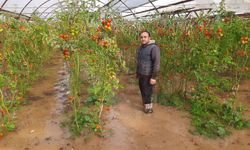 Kumluca'da hortum seraları parçaladı