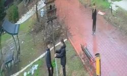 Kuş yuvasını parçalayan 4 çocuğa ev hapsi cezası