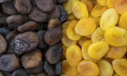 Malatya'da kuru kayısı ihracatında yeni sezondan beklenti yüksek