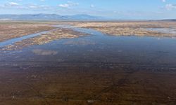 Manisa'da 5 yıl sonra yeniden su tutmaya başlayan Marmara Gölü çiftçiyi umutlandırdı