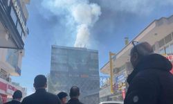 Mersin'de baca yangını korkuttu