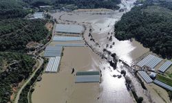 Muğla ile Antalya'da su basan seralar havadan görüntülendi