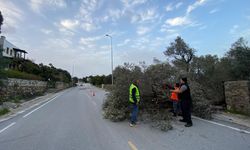 Muğla'da fırtına ve sağanak etkili oluyor