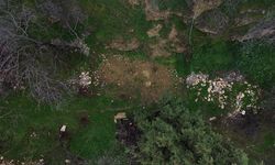 Osman Gazi'nin evinin varlığı, bulunduğu alan ve mimari özellikleri tescillendi