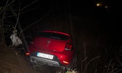 Osmaniye'de otomobil uçuruma yuvarlandı: 1 yaralı