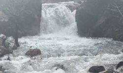 Osmaniye'de yağmurun bereketi Karaçay Vadisi'ni coşturdu