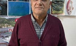 Plajlarda görülmeye başlanan Akdeniz foklarının 'dinlenmelerine izin verin' uyarısı