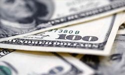 Reel efektif döviz kuru endeksi ocakta 102,17 oldu