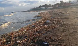 Yağış Sonrası Arsuz Sahili Atık İçinde Kaldı