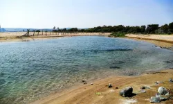 Son Olarak Erzin'de Görüldü, Korunmazsa Yok Olacak