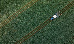 Son dönem yağışları su kaynaklarına ve tarımsal üretime olumlu yansıdı