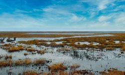 Sulak alanların korunması, HES'lerin sürdürülebilirliği için önem taşıyor