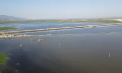 Amik Havzası İçin Acil Eylem Planı Talebi !