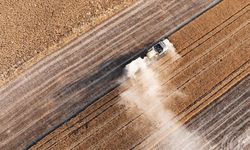 Tarım sezonunun ilk 3 ayında yağışlar uzun yıllar ortalamasına göre yüzde 20 azaldı