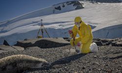 Türk bilim insanları Antarktika'daki araştırmalarıyla sağlık ve tarıma ışık tutuyor