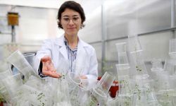 Türk bilim kadını deneyleriyle uzay biyolojisine katkı sunuyor