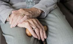 Türkiye'de 100 yaşına merdiven dayayan 244 bine yakın 'çınar' yaşıyor