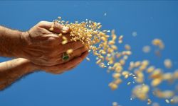 Türkiye'nin hububat, bakliyat, yağlı tohumlar ihracatı ocak ayında 1 milyar dolara yaklaştı