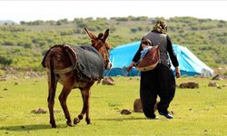 Türkiye'nin nüfusu artarken kırsalda yaşayanların nüfusu azalıyor