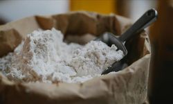 Türkiye'nin Suriye'ye un ihracatı yüzde 110 arttı