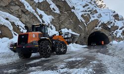 'Turuncu yelekliler' Hakkari'de kesintisiz ulaşım için 100'den fazla çığa müdahale etti
