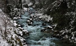 Yağışlar ve alternatif kaynaklarla beslenen Sapanca Gölü 30 santimetre yükseldi