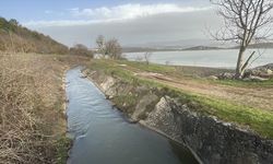 Yeniçağa Gölü'nde ve Gölköy Barajı'nda su seviyesi eriyen kar ve yağmurla yükseldi