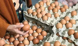 Yumurtada Yeni Dönem: Artık Satılmayacak!