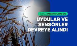 AB'de tarımsal faaliyetler, akıllı tarım ve dijital teknolojilerle yeniden şekilleniyor