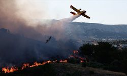 AB'den artan orman yangınlarıyla mücadele için yeni strateji