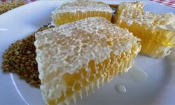 AB'den coğrafi tescil alan Yenice ıhlamur balı markalaşma yolunda ilerleyecek