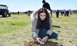 Adana'da 50 fidan toprakla buluşturuldu