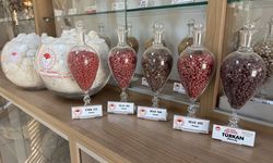 Adana'da geliştirilen pamuk, arpa ve buğday tohumları 13 ülkeye ihraç ediliyor