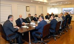 Adana'da Uluslararası Portakal Çiçeği Karnavalı'nın hazırlıkları değerlendirildi