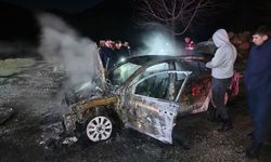 Adana'da yangın çıkan otomobil kullanılamaz hale geldi