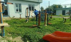 Akdeniz'de bahar temizliği: Parklar yaza hazırlanıyor