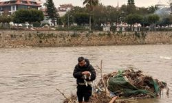 Alanya'da çayda mahsur kalan kediyi vatandaş kurtardı