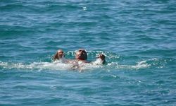 Alanya'da mart güneşi: Hava sıcaklığı 18'e çıktı, sahiller harekenlendi