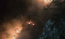 Alanya'da ormanlık alanda çıkan yangın söndürüldü