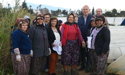 Anamur Belediye Başkanı Deniz, tarım işçisi kadınları ziyaret etti