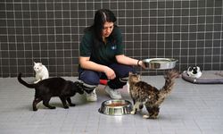 Antalya Büyükşehir Belediyesi 3 bin 324 kadın çalışanıyla kente değer katıyor