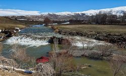 Artan yağışlar 'Van Gölü'nün incileri'nin üreme dönemini sorunsuz geçirmesini sağlayacak