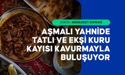 Aşmalı yahni