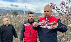 Hatay’a Bahar Erken Geldi