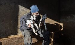 Besiciler kuzu ve oğlak doğumlarında zorlu mücadele veriyor