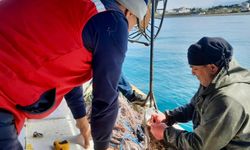 Bilim İnsanları Hatay Kıyılarında Görevde !