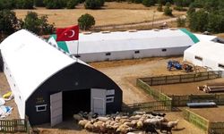 Çadır ağıl desteğiyle büyüttüğü işinde küçükbaş hayvan sayısını artırdı